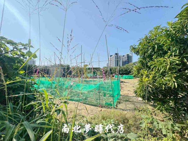 台南南區農地-13