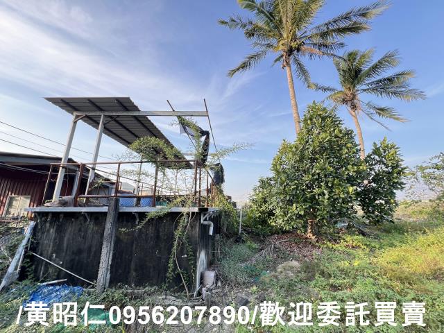 歸仁農地-5