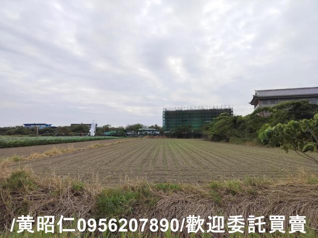安定農地-0