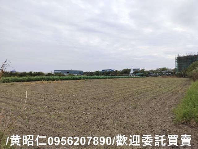 安定農地-1
