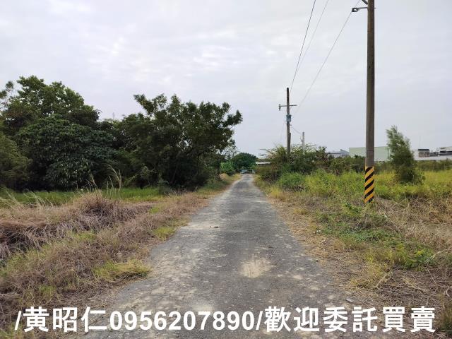 安定農地-4
