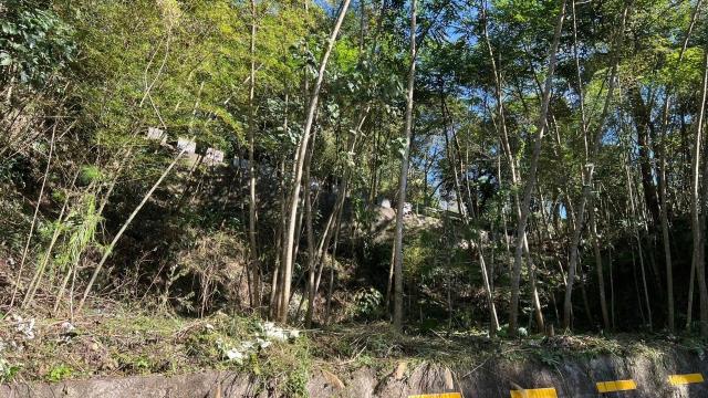 橫山農地-6