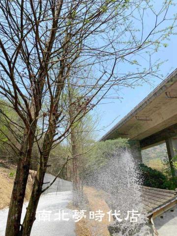 國姓農地-2
