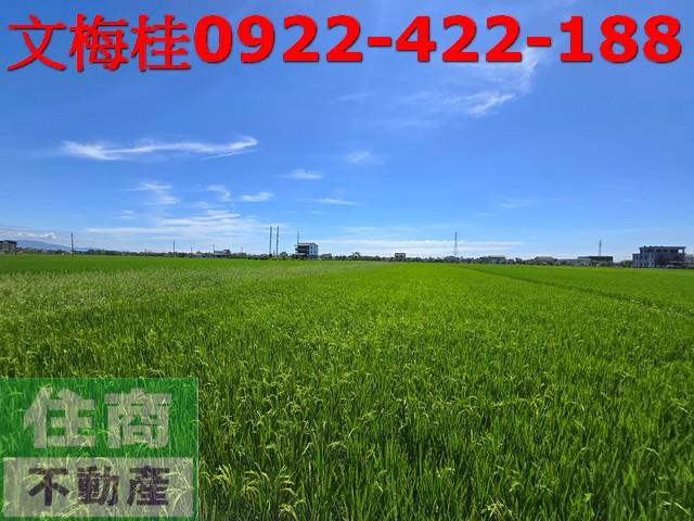 宜蘭農地-0
