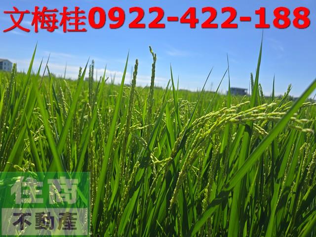 宜蘭農地-1