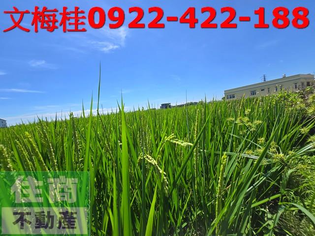 宜蘭農地-2