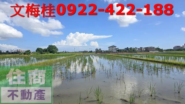 宜蘭宜蘭市農地-0