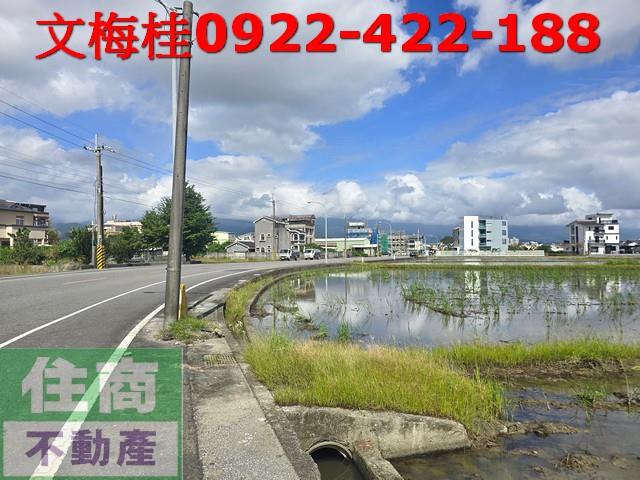 宜蘭宜蘭市農地-2