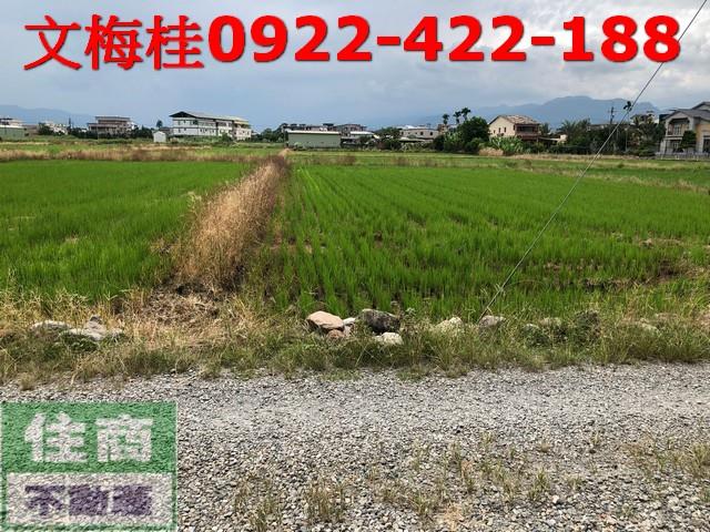 宜蘭宜蘭市農地-0