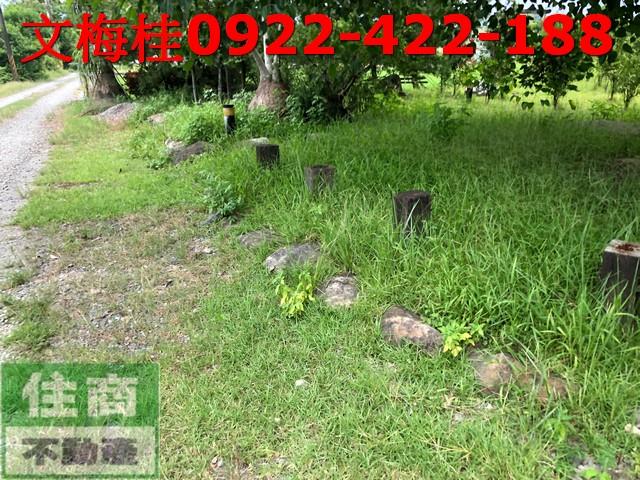 宜蘭宜蘭市農地-5