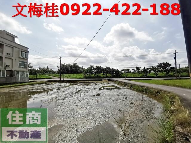 宜蘭宜蘭市農地-0