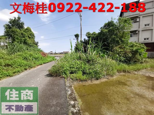 宜蘭宜蘭市農地-1