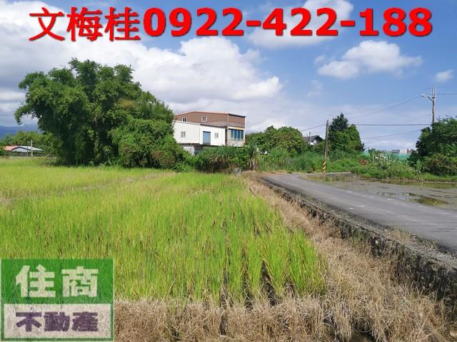 宜蘭宜蘭市農地-3