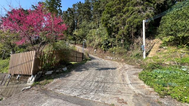 北埔杉木園休閒小屋