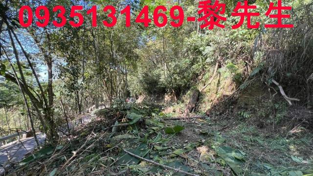 橫山農地-10