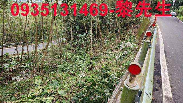 橫山農地-3