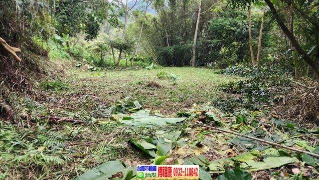 新竹橫山農地-2