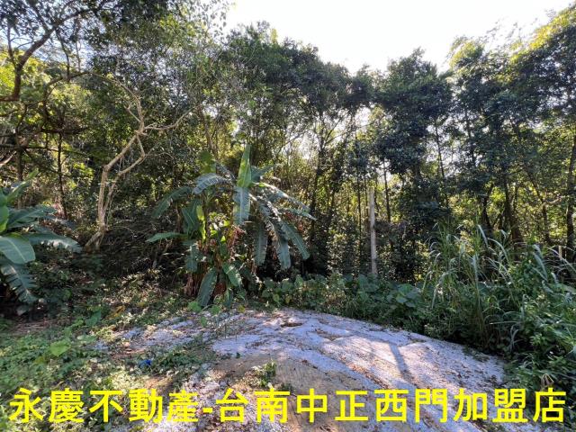 台南白河農地-6