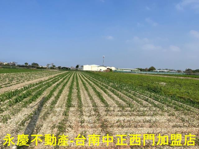 台南將軍農地-9