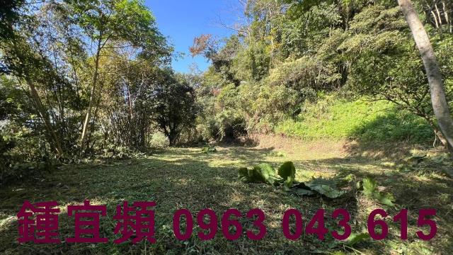 新竹農地-10