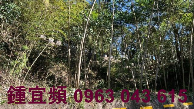 新竹農地-2