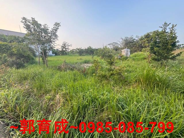 嘉義中埔農地-3