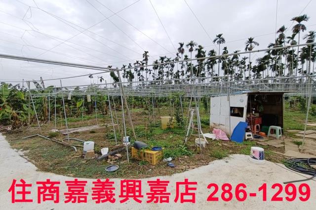 中埔農地-1