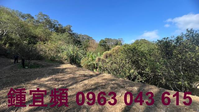 新竹農地-8
