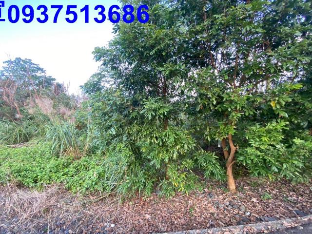 宜蘭冬山農地-3