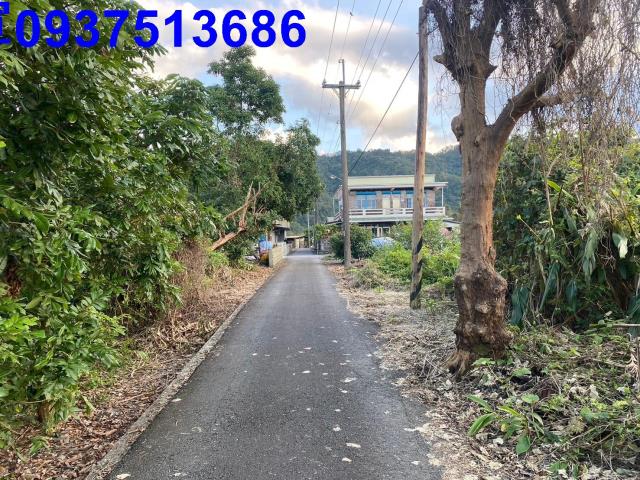 宜蘭冬山農地-5