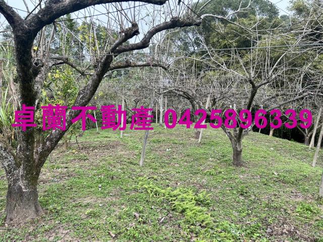 卓蘭農地-11
