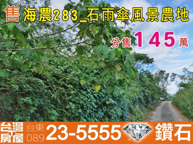 成功農地-14