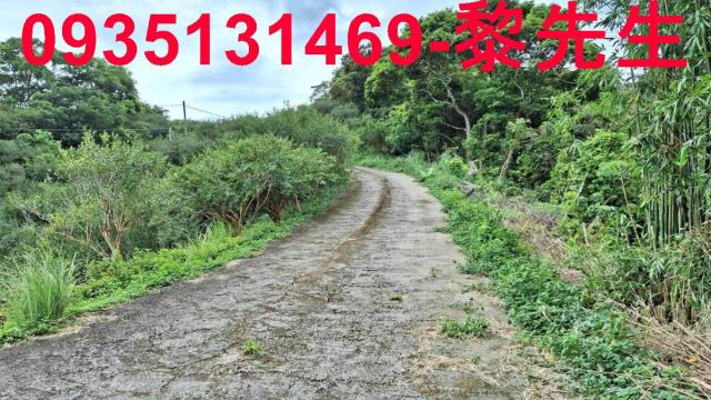 苗栗農地-3
