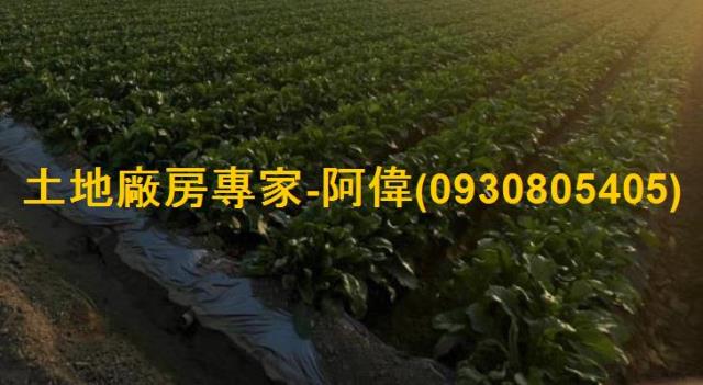 高雄大寮農地-0