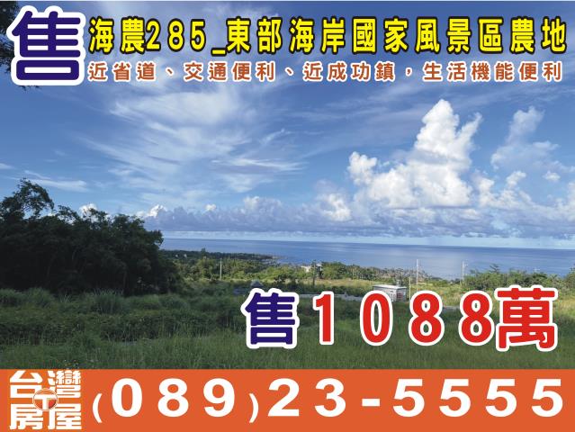 台東成功農地-0