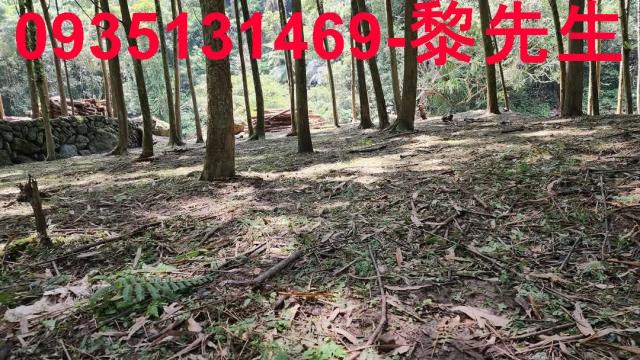 新竹農地-4