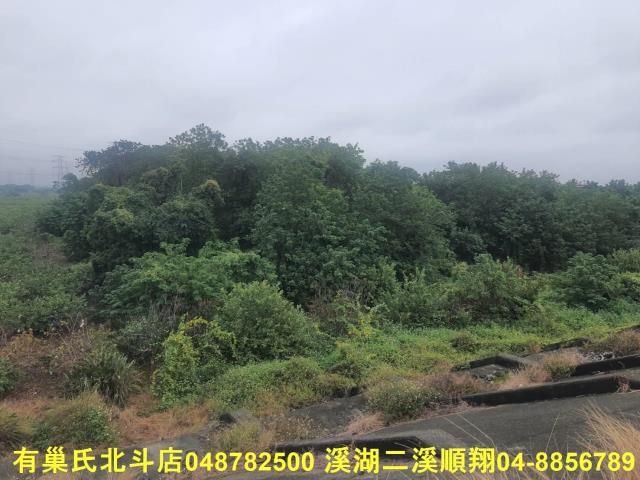 溪州農地-0