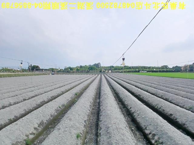 田尾農地-2