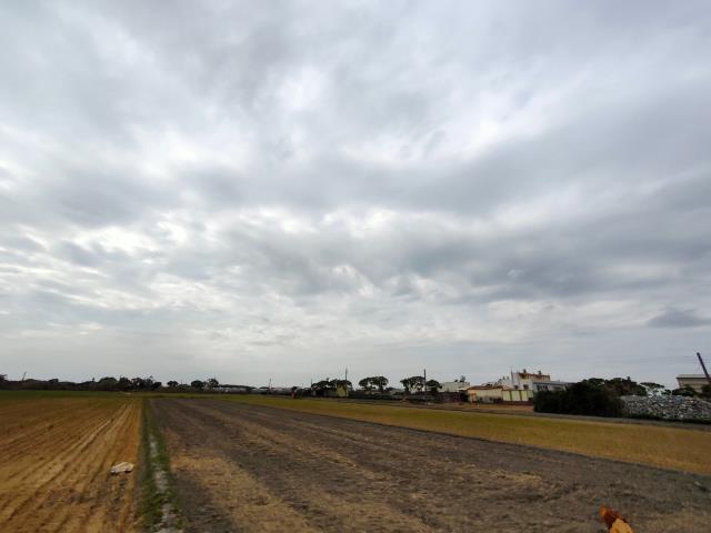 埤頭農地-3