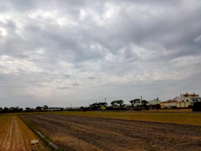 埤頭農地-7