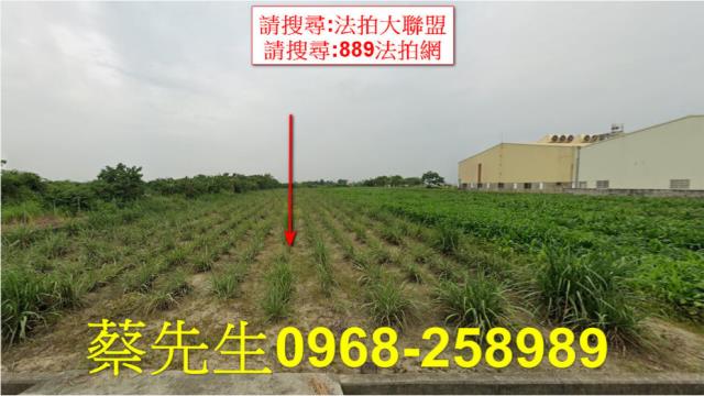 法拍農地梅山科子林山坡地杉木檳榔竹林混合自然生態地