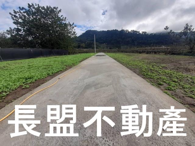 台中農地-2