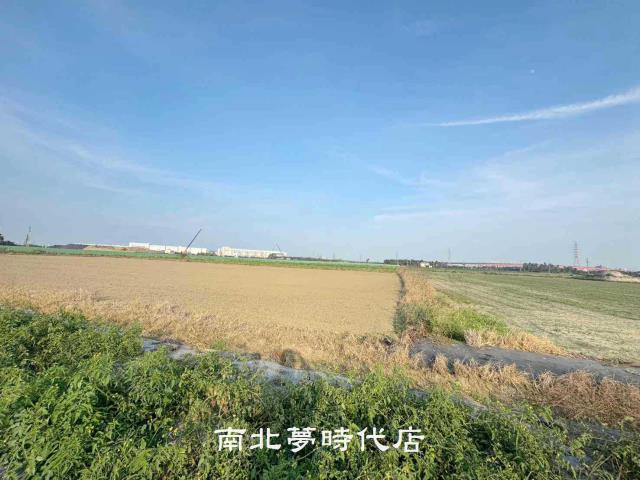 台南新市農地-10