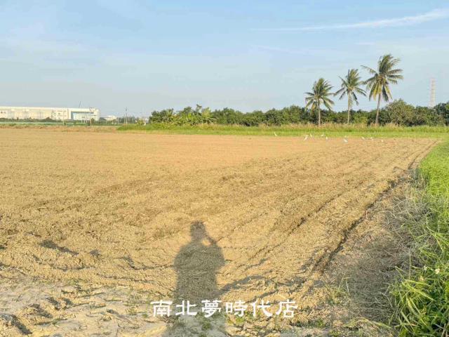 台南新市農地-9