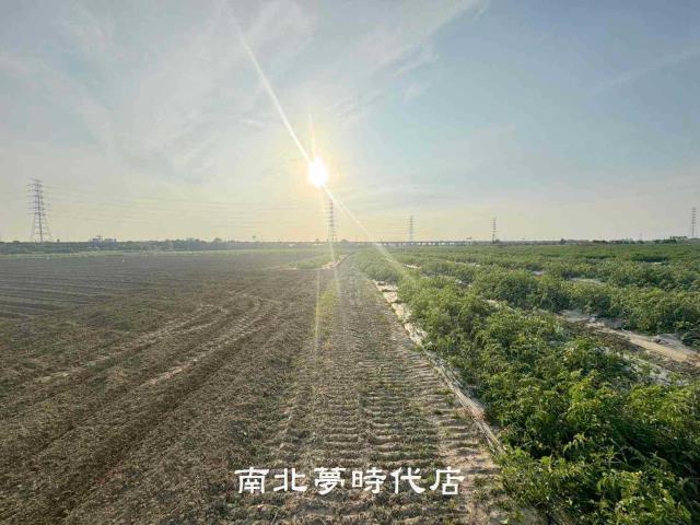 台南新市農地-10
