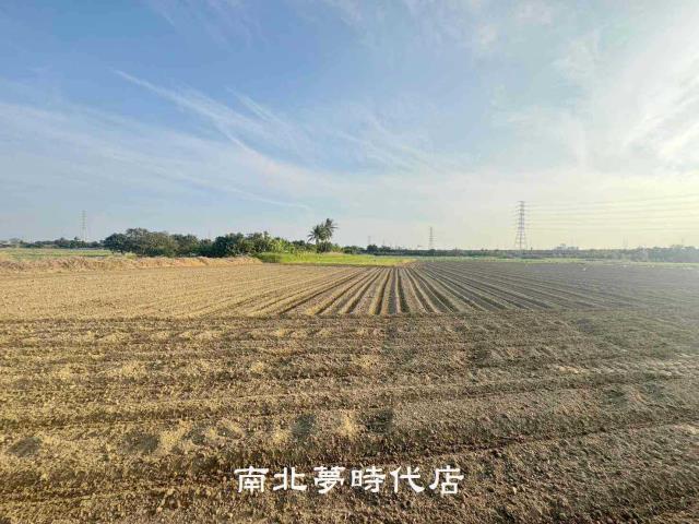 台南新市農地-12