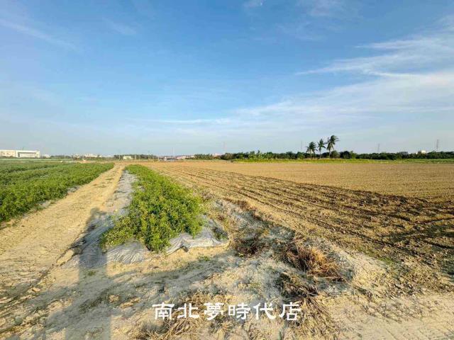 台南新市農地-0