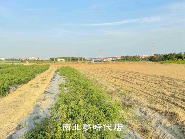 台南新市農地-2