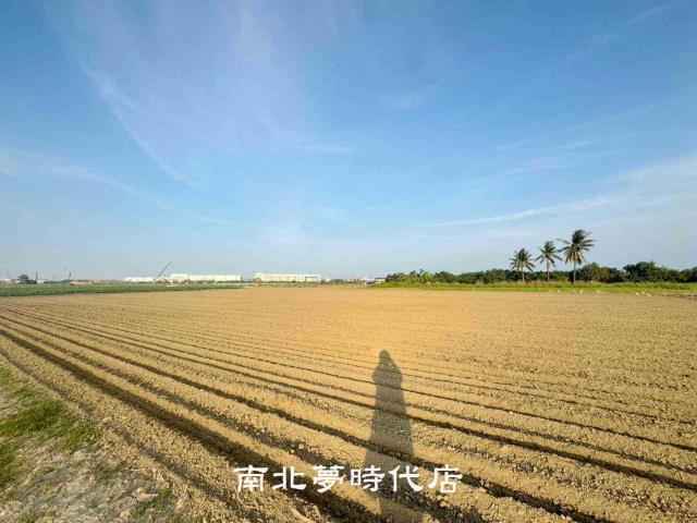 台南新市農地-4