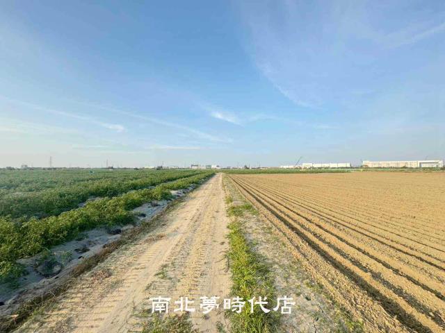 台南新市農地-5